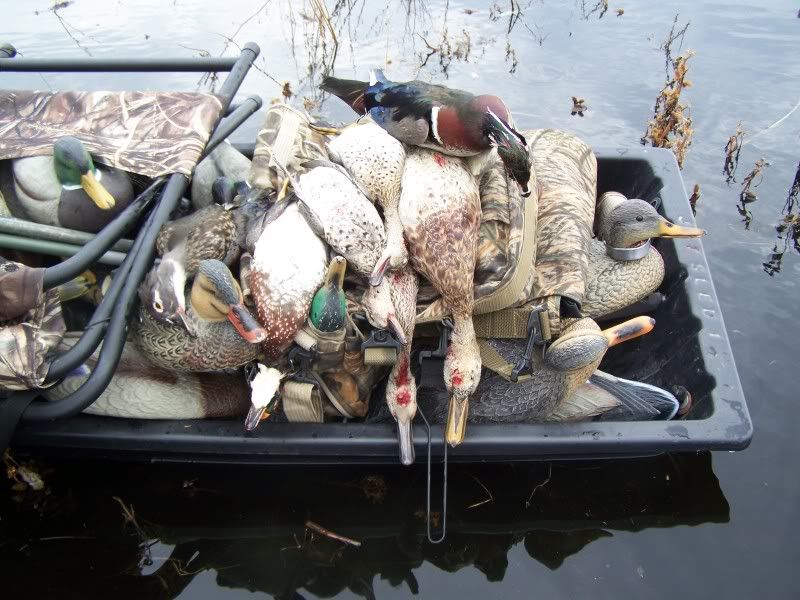 Pictures : Michigan Duck Hunting - Page 2